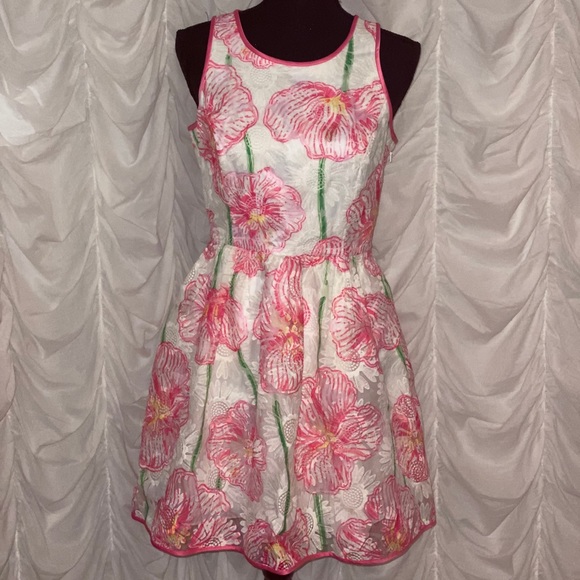 Lilly Pulitzer dress - Picture 1 of 3